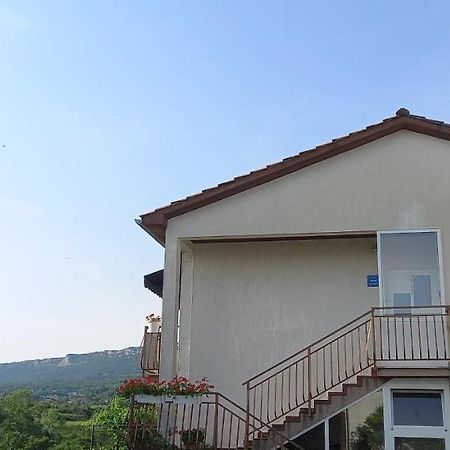 Apartman Anita Buzet Buitenkant foto